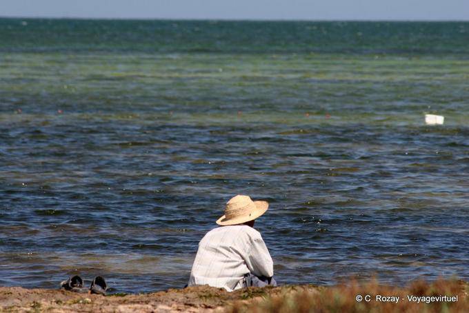 Fisherman scrutinizing the sea, Remla, Kerkennah - Tunisia