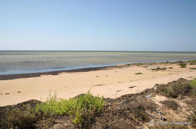 Beach to the east, Remla, Kerkennah - Tunisia