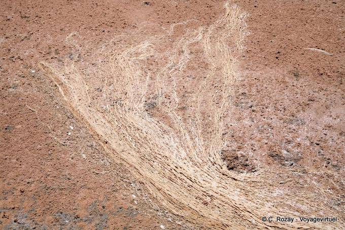 Salt, earth and sand mixed Kerkennah Sidi Frankhal - Tunisia