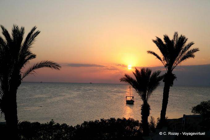 Vespers on palms, Sidi Frej, Kerkennah - Tunisia