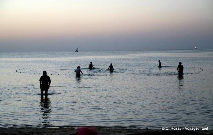 Fishing swimming, Sidi Frej, Kerkennah - Tunisia