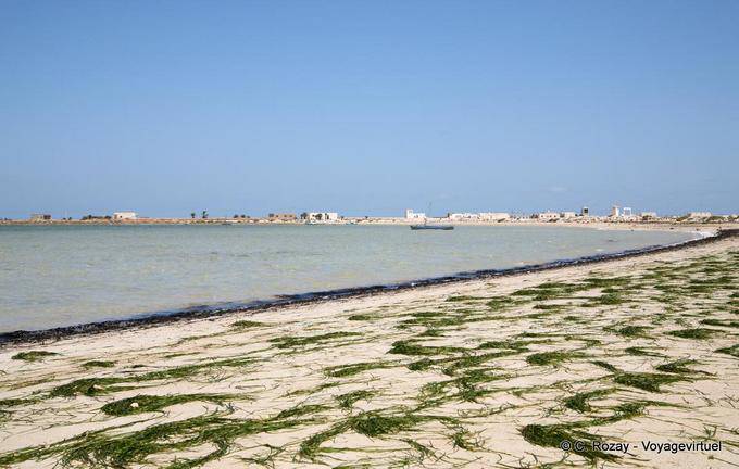Beach with seaweed Kraten, Rass Ejiija Sidi Tebani, Kerkennah - Tunisia