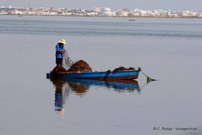 Instant fishing in the Mediterranean, near Monastir - Tunisia