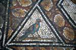 Bardo Museum, colorful bird, mosaic fragment, Tunisia.