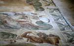 National Museum of Carthage, fragment of a giant mosaic, Tunisia.