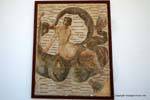 National Museum of Carthage, mosaic dolphins, Tunisia.