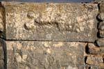 Dougga, embossed indicating a brothel, Tunisia.