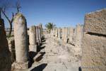 Maktar, basilica, alignment truncated columns, Tunisia.