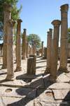 Columns of the Schola Juvenes building of the Severan dynasty, Makthar, Tunisia.