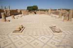 Sbeïtla, Palaestra des Thermes, Tunisia.