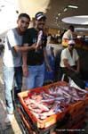 Sfax, the market, they are beautiful my fish, Tunisia.