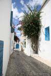 Sidi Bou Said, small street pavement, Tunisia.