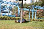 Sidi Bou Said, Nap on grass, Tunisia.