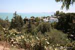 Sidi Bou Said, Villas Hidden In Foliage, Tunisia.