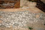 Thuburbo Majus, Capitol, home mosaic, Tunisia.