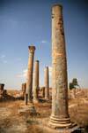 Thuburbo Majus, circular columns, Tunisia.