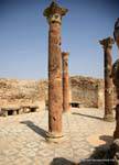 Thuburbo Majus, House of the Charioteer, Tunisia.