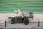 Porter resting, Tunis, Tunisia.