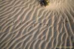 Footsteps in the sand on the beach 5000 years, Djerba, Tunisia.