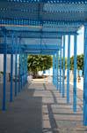 Trellis, jewish synagogue, Djerba, Tunisia.
