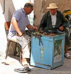 Street cobbler, Djerba, Houmt Souk, Tunisia.