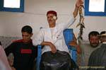 Fish market, Djerba, Houmt Souk, Tunisia.