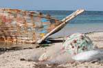 Bow and nets, Seguia, Djerba, Tunisia.