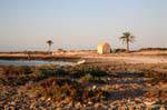 The west coast of Djerba, Tunisia.