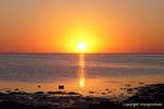 Orange and gold of the sea at sunset, Sidi Jmour, Djerba, Tunisia.