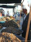 Dried fish, Douz, Tunisia.