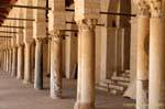 Colonnades topped with various capitals, Djemaa Sidi Uqba, Kairouan, Tunisia.