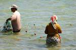 Net fishing, Kerkennah, Tunisia.