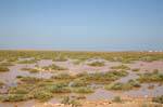 Submersible landscape of the archipelago, between Chergui and Kraten, Kerkennah, Tunisia.