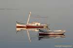 Boats in the morning calm, Ouled Kacem, Kerkennah, Tunisia.