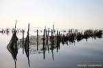 Nets and palm leaves up the charfia, Ouled Kacem, Kerkennah, Tunisia.