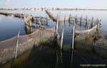Architecture fish trap of charfia, Ouled Kacem, Kerkennah, Tunisia.