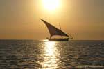 Latin sail at sunset, Sidi Frej, Kerkennah, Tunisia.