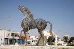 Horse wire, Mahares, Tunisia.