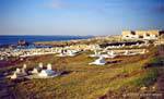 View of the cemetery and the Borj El Kebir Mahdia Cap Africa, Tunisia.
