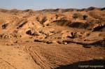 Plowed land, Matmata, Tunisia.
