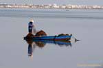 Instant fishing in the Mediterranean, near Monastir, Tunisia.