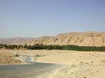 Arrival of the oasis, Tozeur Nefta, Tunisia.