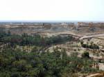 Oasis of Nafta, Tunisia.
