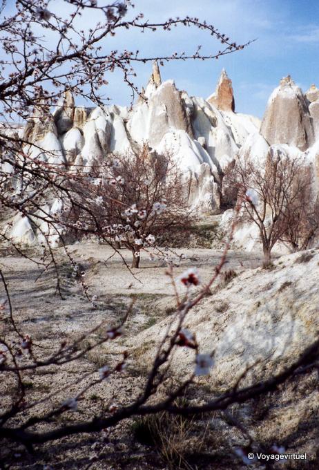 Spring on the White Valley, Cappadocia - Turkey