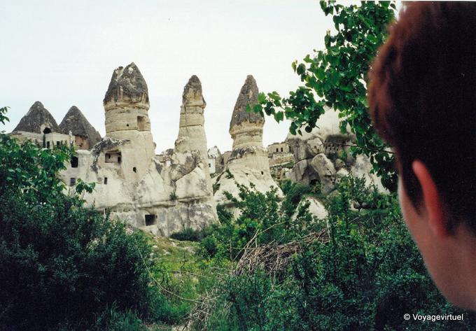 Look at the fairy chimneys shaped morel, Cappadocia - Turkey