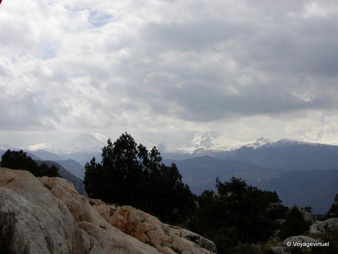 In Taurus mountain, Termessos - Turkey